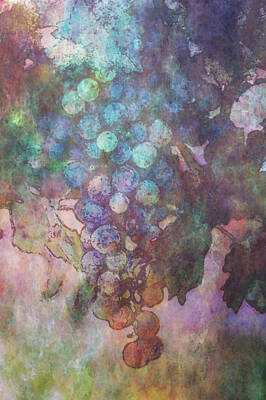 Impressionism Photo Royalty Free Images - Impressionist Grapes on The Vine 2747 IDP_2 Royalty-Free Image by Steven Ward