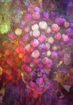Impressionism Photo Royalty Free Images - Impressionist Grapes Ripening on the Vine 2743 IDP_4 Royalty-Free Image by Steven Ward