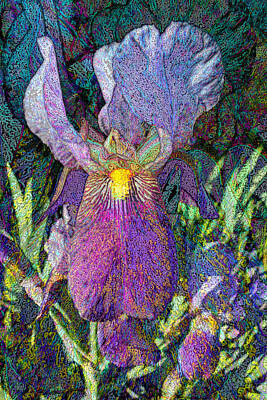 Impressionism Royalty-Free and Rights-Managed Images - Impressionist Iris by Michele Avanti