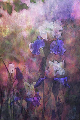 Impressionism Photo Royalty Free Images - Impressionist Purple and White Irises 6647 IDP_2 Royalty-Free Image by Steven Ward