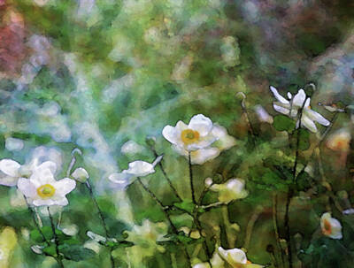 Impressionism Photo Royalty Free Images - Impressionist White Flowers in the Garden 4765 IDP_2 Royalty-Free Image by Steven Ward