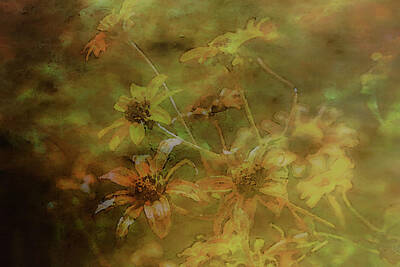 Impressionism Photo Royalty Free Images - Impressionist Wildflowers 4075 IDP_2 Royalty-Free Image by Steven Ward