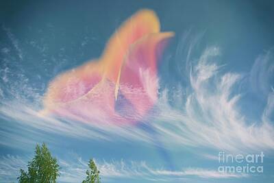 Abstract Flowers Photos - In the sky by Veikko Suikkanen