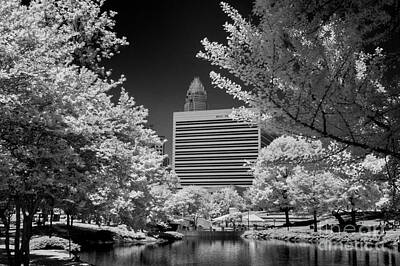 Gaugin Royalty Free Images - Infrared Charlotte #1 Royalty-Free Image by Bill Piacesi