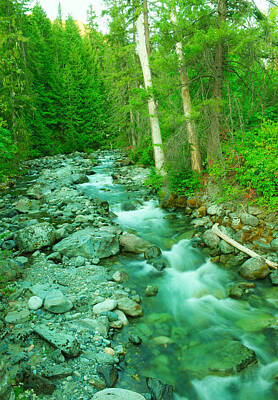 Zen Rocks - Ingalls Creek by Jeff Swan