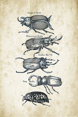 Animals Digital Art - Insects - 1792 - 01 by Aged Pixel
