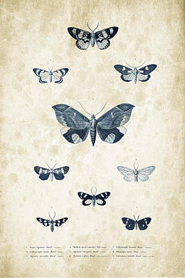 Animals Digital Art - Insects - 1832 - 05 by Aged Pixel