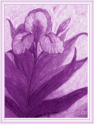 Steampunk Illustrations Royalty Free Images - Iris in Purple Royalty-Free Image by Debra Lynch