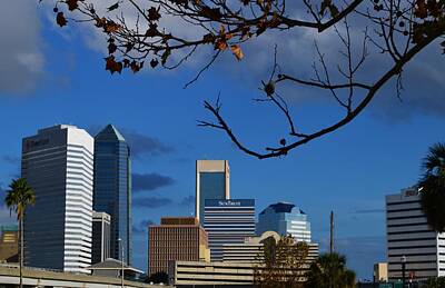 Game Of Thrones Rights Managed Images - Jacksonville Skyline Landscape Royalty-Free Image by Warren Thompson