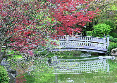 Through The Viewfinder Rights Managed Images - Japanese Garden Bridge in Springtime Royalty-Free Image by Carol Groenen