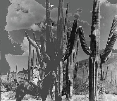 Abstract Trees Mandy Budan - Jean Harlow Bombshell 1933 Saguaro National Monument Tucson Arizona color added 2016 by David Lee Guss