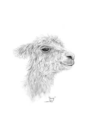 Mammals Drawings - Jerry  by Kristin Llamas