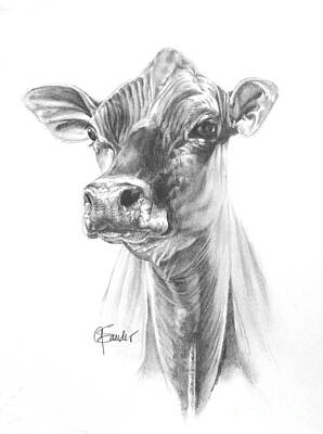 Best Sellers - Portraits Drawings - Jersey Portrait by Gary Sauder