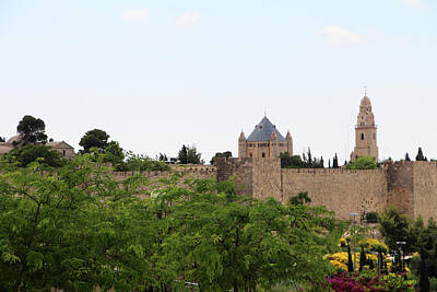 Pop Art - Jerusalem Citadel Flowers by Munir Alawi