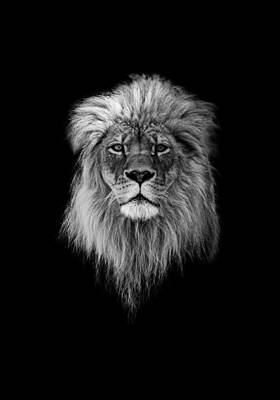 Animals Photos - Joshua in Black and White by Everet Regal