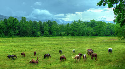 Vintage Tees - Joy After A Rain 2 Cades Cove Horses Great Smoky Mountain Art by Reid Callaway