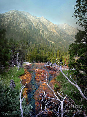 Dragons - Kaleidoscopic Spring Outflow - Iva Bell Hot Springs - Sierra by Bruce Lemons