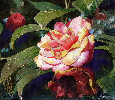 Floral Royalty-Free and Rights-Managed Images - Karma Camellia by Andrew King