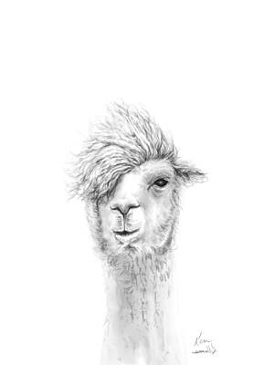 Mammals Drawings - Ken by Kristin Llamas