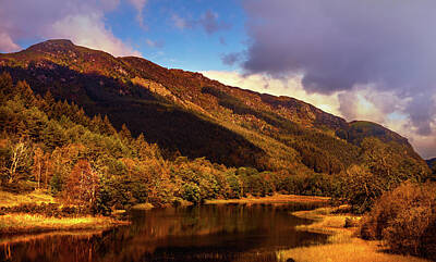 Lets Be Frank - Kingdom of Nature. Scotland by Jenny Rainbow