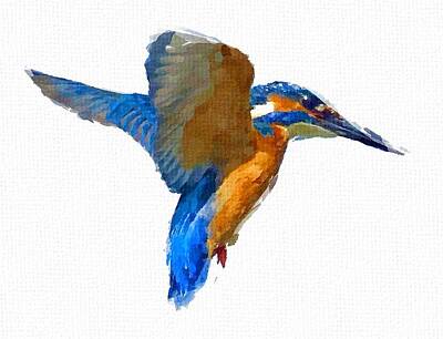 Prescription Medicine - Kingfisher by Chris Butler