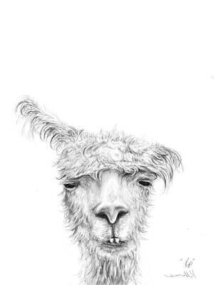 Mammals Drawings - Kip by Kristin Llamas