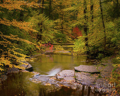 Ingredients Rights Managed Images - Kitchen Creek, Ricketts Glen Royalty-Free Image by Jerry Fornarotto
