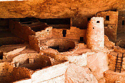 Birds Photo Rights Managed Images - Kiva and Tower at Mesa Verde Royalty-Free Image by Jeff Swan