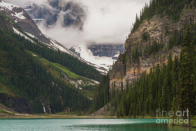 Sheep Rights Managed Images - Lake Louise Peaks Above Royalty-Free Image by Mike Reid