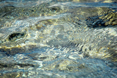 Royalty-Free and Rights-Managed Images - Lake Michigan Ripples by Rebel Miles Photography