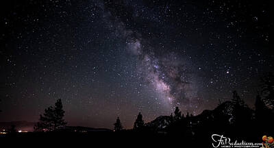 Black And White Flower Photography - Lake Tahoe - Meeks Bay - Milky Way - Astrophotography by Ryan Kelehar