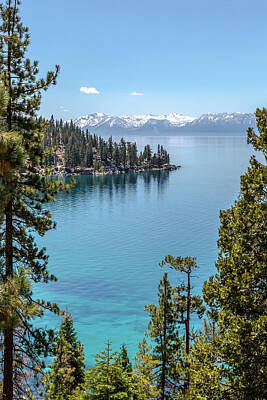 Typographic World Royalty Free Images - Lake Tahoe Splendor Royalty-Free Image by Allegory Imaging