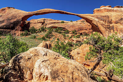Landscapes Royalty-Free and Rights-Managed Images - Landscape Arch by Peter Tellone