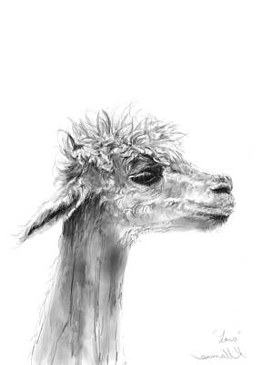 Mammals Drawings - Lars by Kristin Llamas