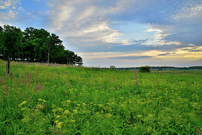 Solar System Posters - Last Light over Glacial Park Wildflowers by Ray Mathis