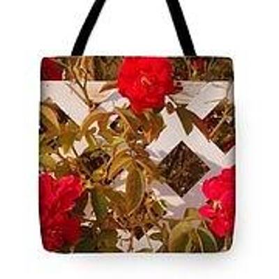 Spaces Images - Last Roses of Galilee Tote Bag by Rick Maxwell