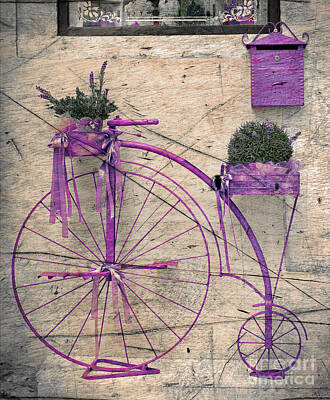 Still Life Digital Art - Lavender bicycle by Svetlana Sewell