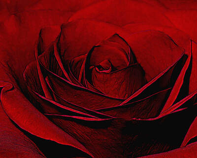 Roses Digital Art - Layers of Love by Ernest Echols
