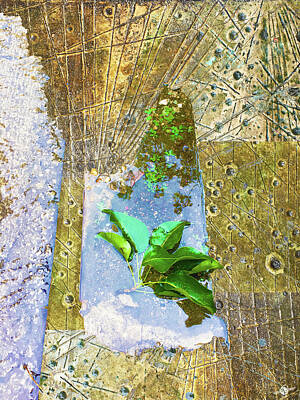 Cities Mixed Media - Leaves In Water by Tony Rubino