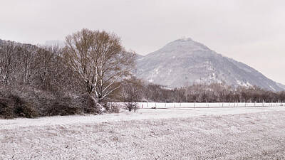 City Scenes Royalty-Free and Rights-Managed Images - Leopoldsberg covered in light snow in winter by Stefan Rotter