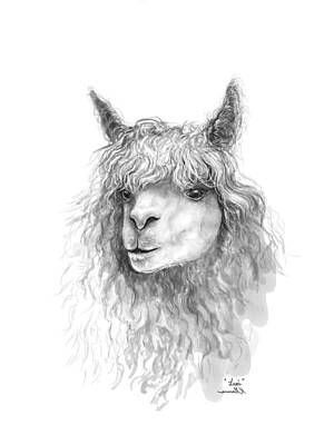 Recently Sold - Mammals Drawings - Lexi by Kristin Llamas