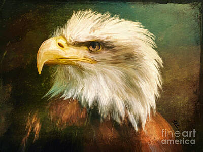 Landmarks Paintings - American Bald Eagle Portrait by Tina LeCour