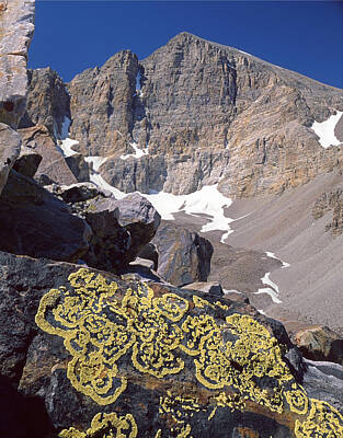 Fruits And Vegetables Still Life Rights Managed Images - 311364-Lichen Patterns and Wheeler Peak, NV Royalty-Free Image by Ed  Cooper Photography