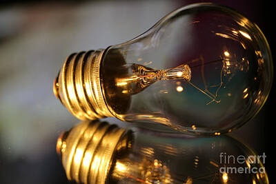 Olympic Sports - Light Bulb  by Douglas Milligan