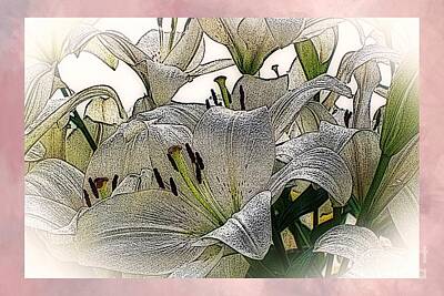 Lilies Digital Art - Lilies / pink border by Elizabeth McTaggart