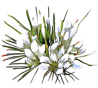 Lilies Digital Art - Lillies  by Karen Harding