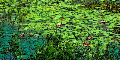 Abstract Landscape Photos - Lily Pads - An Abstract by David Patterson