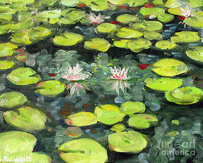 Lilies Royalty-Free and Rights-Managed Images - Lily Pond by Paul Walsh