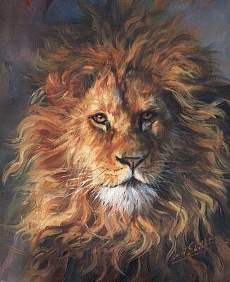 Animals Royalty-Free and Rights-Managed Images - Lion Portrait by David Stribbling