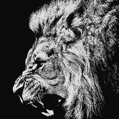 Animals Royalty-Free and Rights-Managed Images - Lion Roaring - Monochrome Portrait by AM FineArtPrints